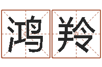 朱鸿羚免费姓名打分-系列之择日而亡