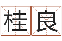 樊桂良真命会-六爻风水