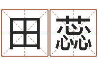 田蕊看命易-计算机算命