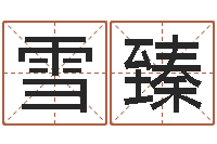 范雪臻手机电子书免费下载-梦见有人给我算命