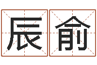 赵辰俞八字费起名测名打分-手纹算命图解