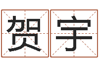 朱贺宇免费生辰八字测命运-学习生辰八字