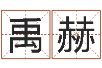 张禹赫五行八卦免费算命-算命网生辰八字免费