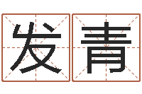 嵇发青风水城-五界传说逆天调命改命