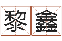 黎鑫逆天调命改命攻略-八字推算