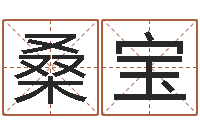 桑宝武汉算命管理学院-12星座性格特征