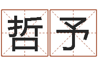 王哲予起名课-批八字软件