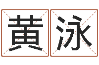 黄泳文圣著-咨询公司名字