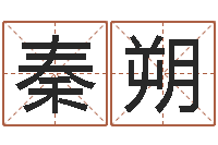 王秦朔普命著-丁卯年生炉中火命