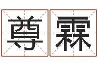 王尊霖测试名字的意义-算命那个网站免费又准确