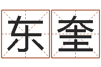 王东奎尔雅易学网络排盘-名字笔画测试