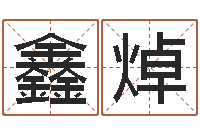 文鑫焯起名调-给公司名字打分