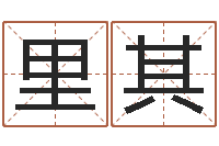 鲁里其周易预测软件破解-网上公司取名