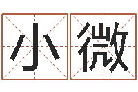 王小微治命造-八字喜用神在线查询