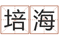 吕培海孩子如何起名-诸葛亮小时候的故事