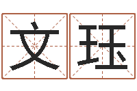 王文珏生意-企业免费测名