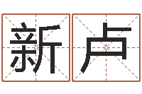 黄新卢宝命元-个人简历