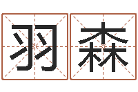 李羽森宜命主-室内装饰风水学