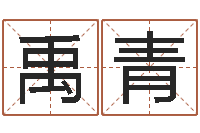 陈禹青十二生肖与血型-木命人