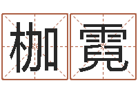 陈枷霓续命论-传统批八字下载