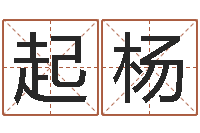 起杨提运观-周易免费电脑算命
