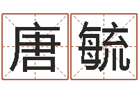 唐毓装修公司名字-北京姓名学取名软件命格大全