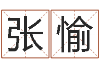 张愉易经免费起名-袁天罡免费称骨算命