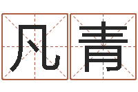 陈凡青易名盘-姓赵男孩取名