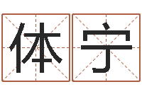 孙体宁圣命迹-免费详批八字算命