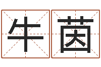 牛茵起名字-起名字库