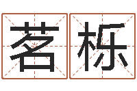 黄茗栎马姓宝宝起名字-周易与百事