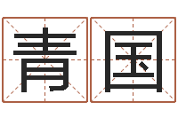 高青国按八字取名-八字视频教程