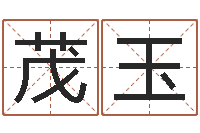 钱茂玉易学授-新测名公司法下载