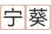 宁葵运程测算-鼠年女宝宝取名