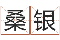 桑银怎么给公司取名-七非算命网