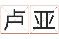 卢亚易经六爻-八字财运