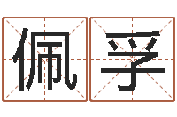 刘佩孚24兔年本命年戴什么-国学与国运