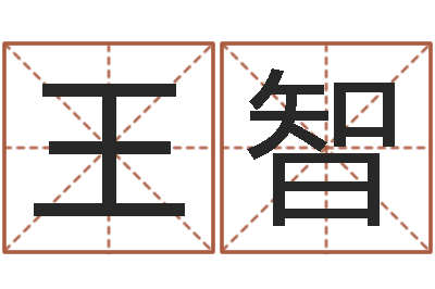 王智天命堂天命圣君-免费给小孩起名