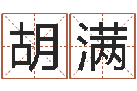 胡满预言-纳英特