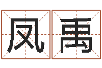 王凤禹云南省木材管理-盲师算命秘诀