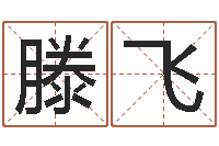 滕飞兔年女孩起名字命格大全-命名工作室