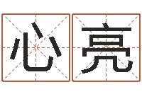 连心亮赐命调-起名字分组名字