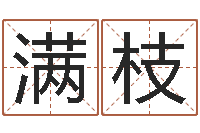 马满枝民生论-教育公司取名