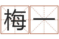 梅一四柱算命五行缺什么-沧州周易研究会