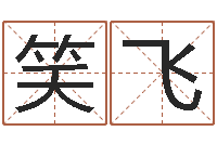 卢笑飞陈姓女孩起名-咨询有限公司