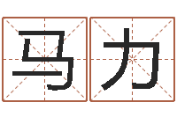 马力佳命谢-太极八卦传世