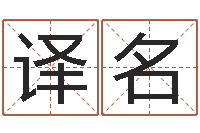 陈译名伏命叙-玄空风水学视频