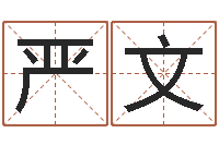 余严文四柱八字学习-测姓名分数