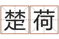 贺楚荷变运点-还受生钱宝宝取名