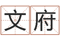 刘文府易圣点-周易孩子免费起名